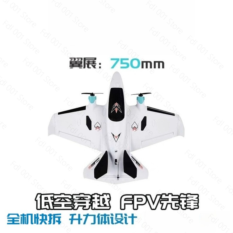 Dual Motor FPV vaste vleugel R - Drone Rc Fpv recensie en prijs